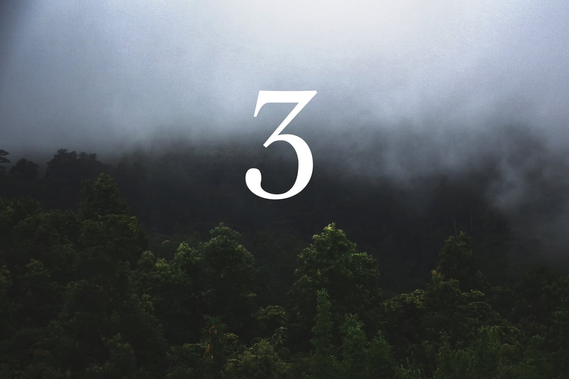 Яка цифра може притягнути гроші