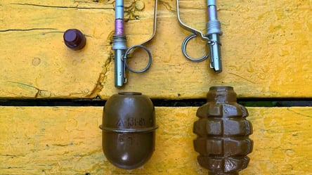 В Харькове задержали мужчину, продававшего боевые гранаты - 285x160