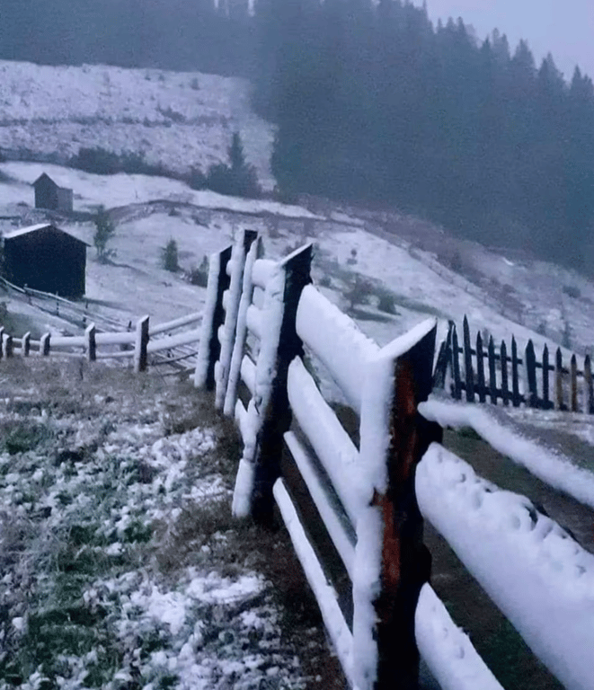 перший сніг у Карпатах