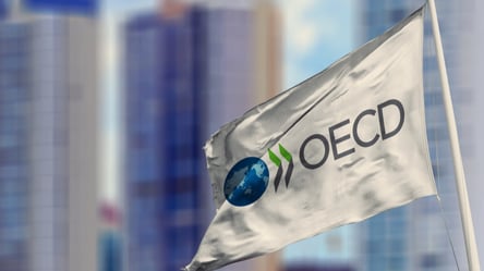 В Киеве заработал официальный офис ОЭСР: какие возможности откроются для украинцев - 285x160