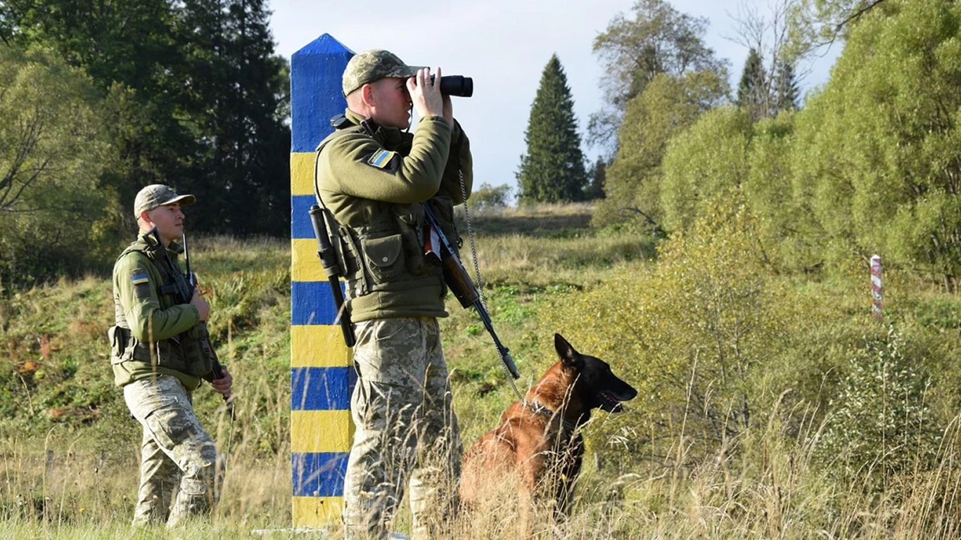 Медведица сорвала попытку незаконного пересечения границы на Закарпатье