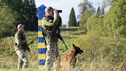 Ведмедиця зірвала спробу незаконного перетину кордону на Закарпатті - 285x160