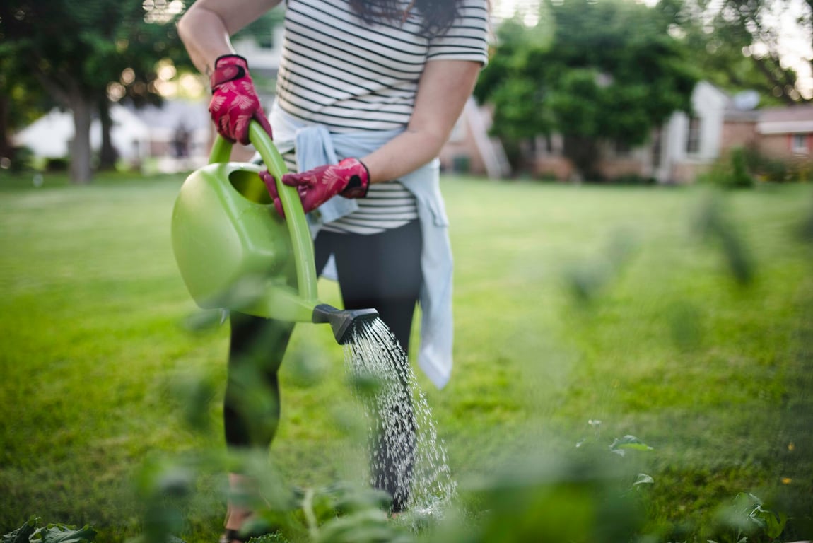 Чем полить огурцы до 5 июня, чтобы собирать урожай до поздней осени — советы огородникам