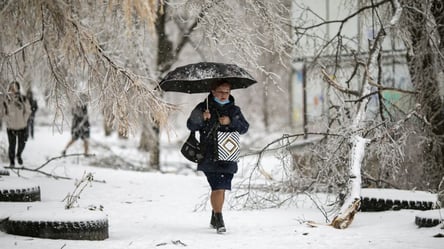 Почти везде снег — какая погода будет в Украине сегодня - 290x166