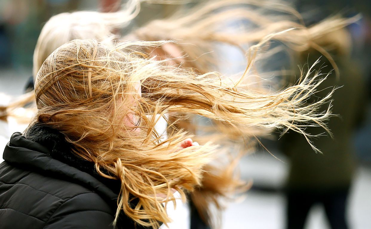 Вітер розвіває волосся дівчини