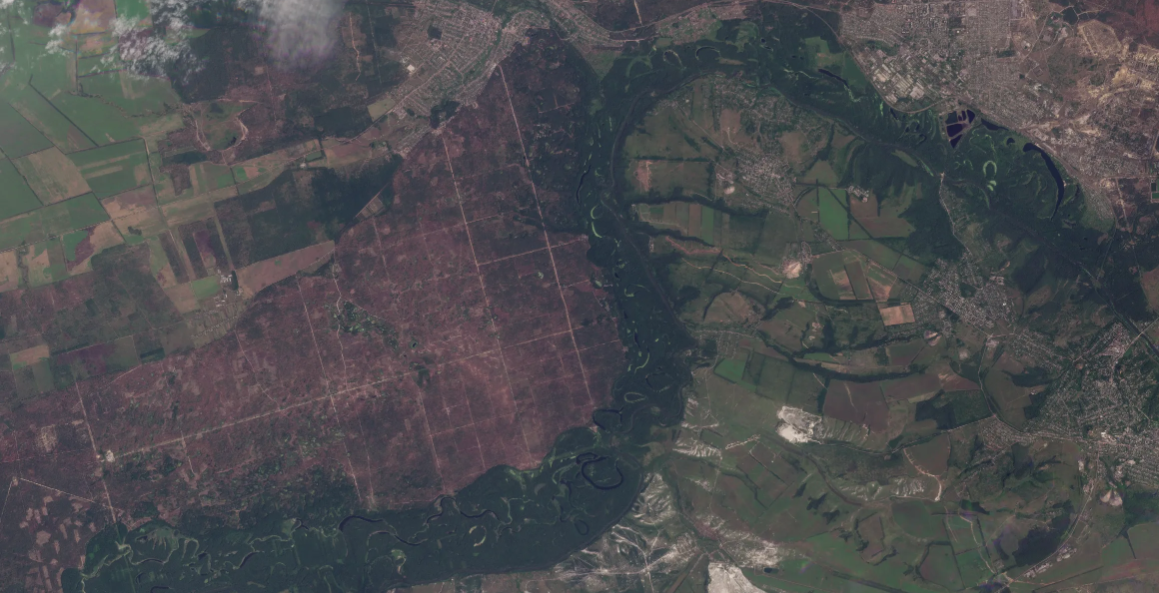 Территория ГП "Кременское лесоохотничье хозяйство" в сентябре 2023 года. Фото: NGL.media