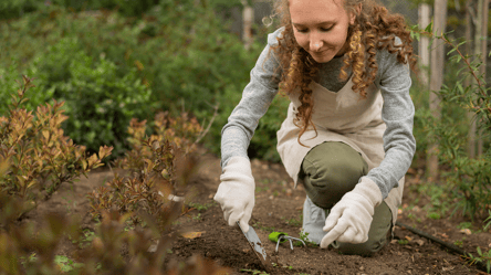 Осіннє рівнодення — чи можна працювати вдома та на городі - 285x160