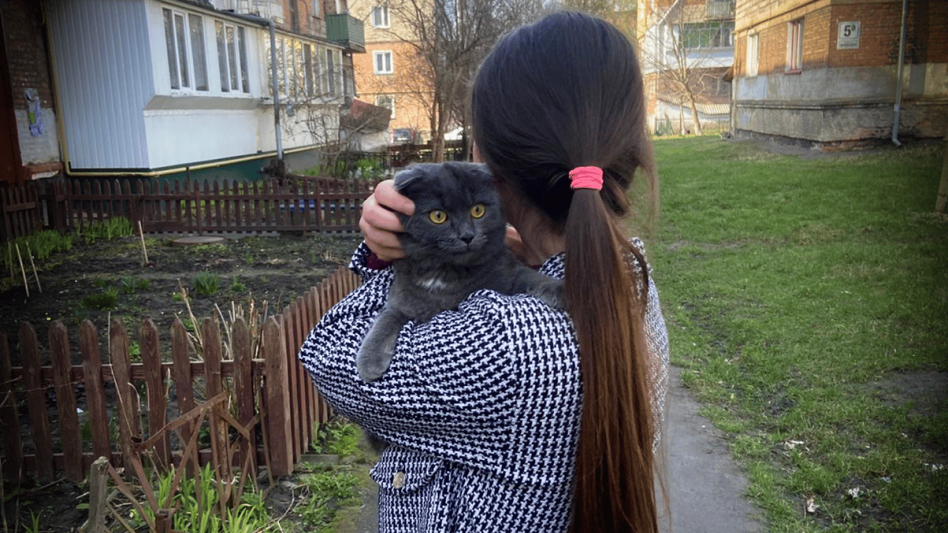 Хотіла врятувати кота, а довелось рятувати її — у Львові жінка "застрягла" на даху