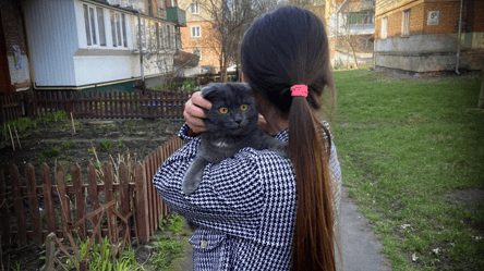 Хотіла врятувати кота, а довелось рятувати її — у Львові жінка "застрягла" на даху - 290x166