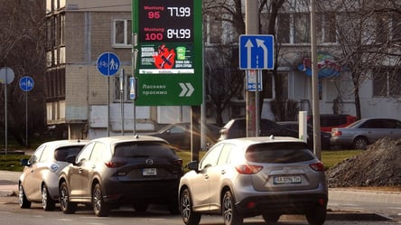 На яких двигунах вигідніше їздити під час паливної кризи - 285x160