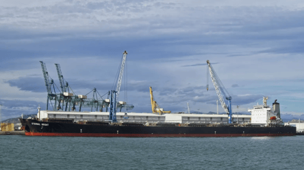 Понад тридцять суден завантажуються у портах Одещини — деталі - 285x160