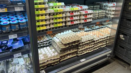 Супермаркеты переписали цены на яйца — сколько стоит десяток - 285x160