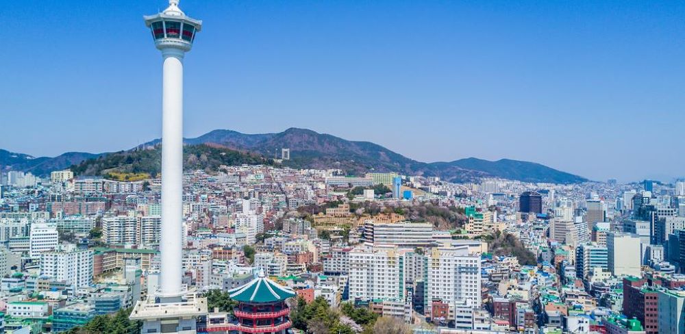 Как у Хичкока — почему птицы диверсируют и терроризируют жителей крупных городов - фото 1