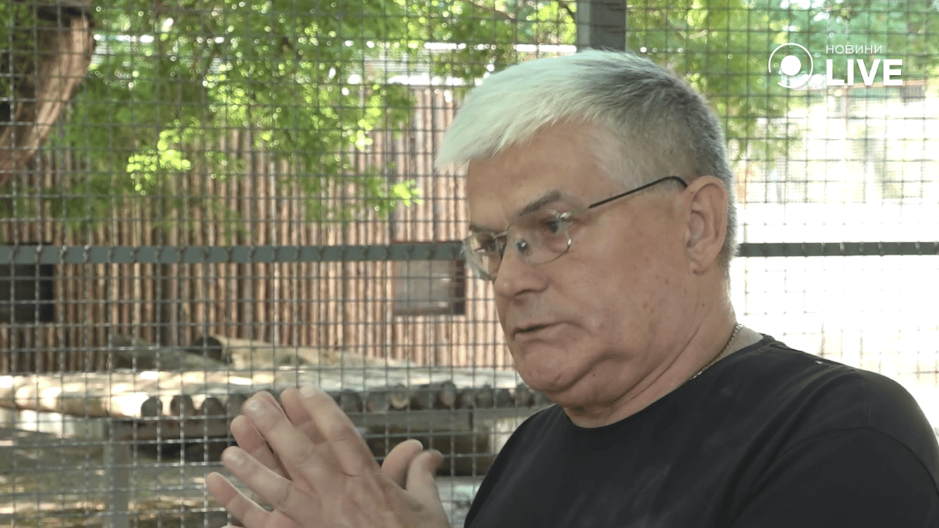 Енот - фото 2