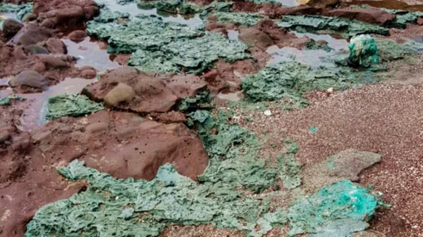 Екологічна катастрофа: на райському острові утворилися скелі з пластику