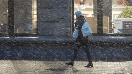 Коли в Україні випаде перший сніг та чи чекати на морози — прогноз від синоптика - 285x160