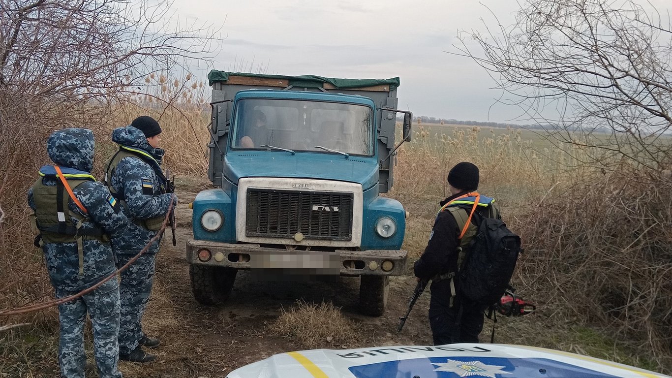 Незаконно вырубили деревья — в Одесской области задержали преступную группировку