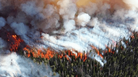 В Чили бушуют лесные пожары: уже пятеро погибших - 285x160