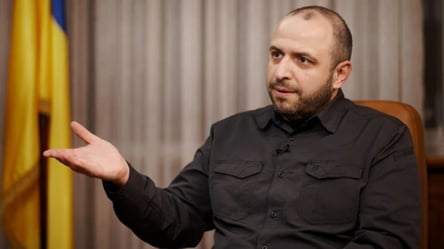 Умеров обсудил с представителями США и Европы итоги переговоров - 285x160