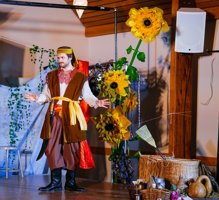 Cossak Beyond the Danube was staged in Washington