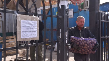 Картопля може різко подорожчати: що буде з цінами взимку - 285x160