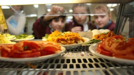 В Кабмине согласовали трехлетнюю реформу школьного питания — что изменится - 285x160