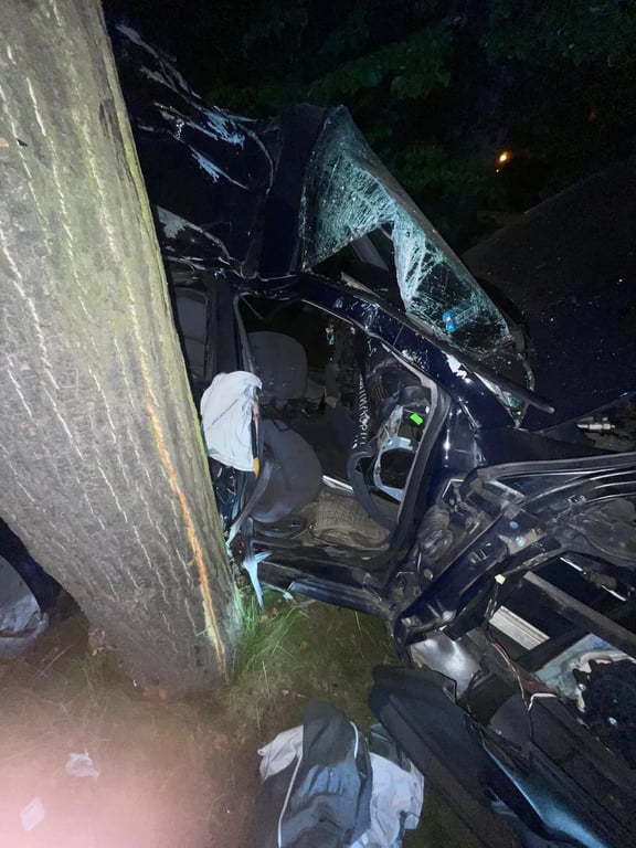 Машина, на якій розбилися підлітки. Фото: trojmiasto.pl