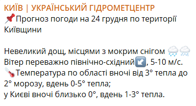 Синоптики предупредили о снежной непогоде в Киеве завтра - фото 1