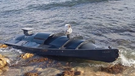 Армія морських дронів створює окупантам значні проблеми, — Братчук - 285x160