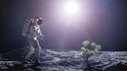 Вчені навчилися перетворювати місячний ґрунт на родючі землі — як це працює - 285x160