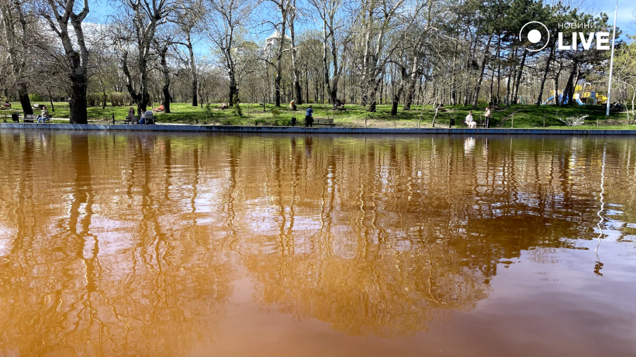 Краще не чіпати воду у парку Перемоги — у чому небезпека для одеситів - фото 6