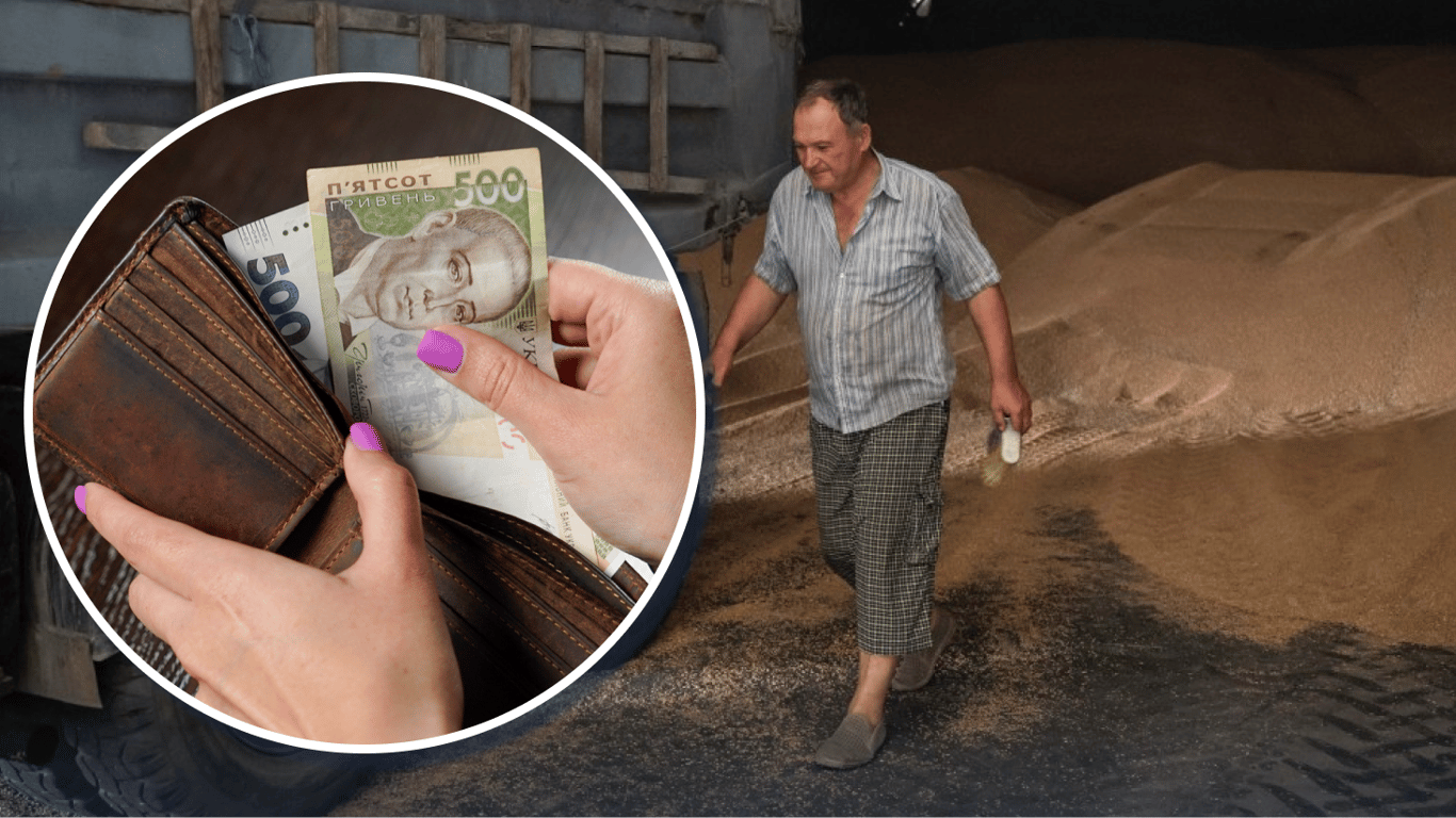 Ціни на зерно в Україні: скільки зараз коштує тонна і чого чекати далі