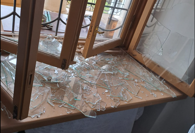 Одеський ботанічний сад після російських атак — які наслідки - фото 2