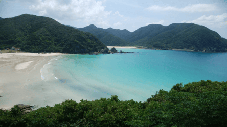 До 30 тисяч євро — які країни готові платити за переїзд - 285x160