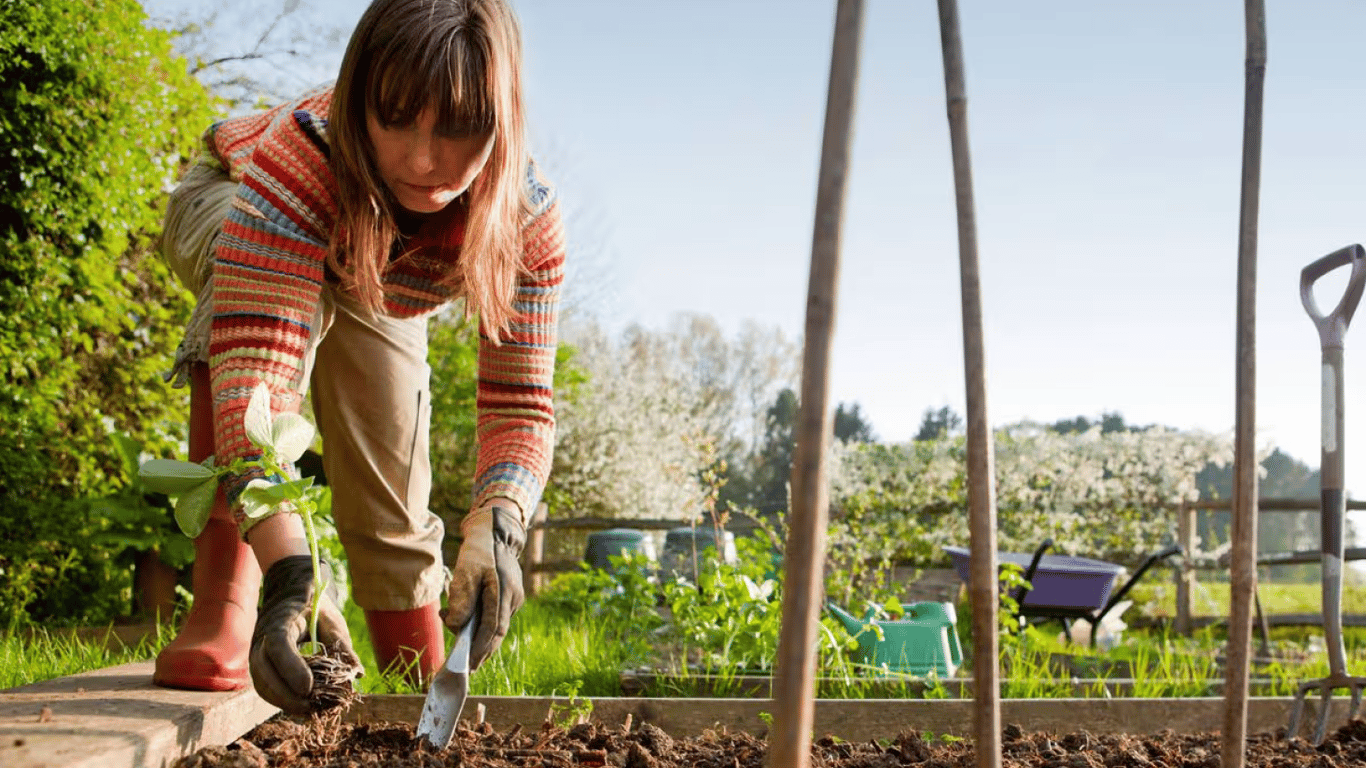 Велика субота 2026: чи можна працювати на городі та в саду 11 квітня