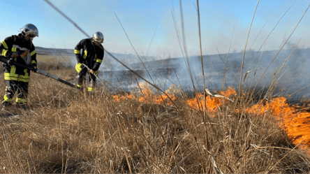 Пожарная опасность: за сутки в Одесской области горело 6 га земли - 285x160