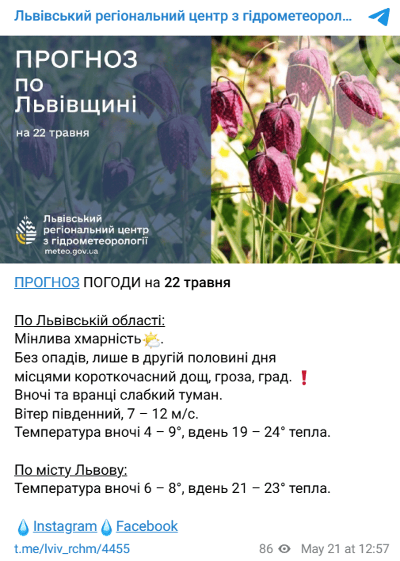 Погода у Львові 22 травня