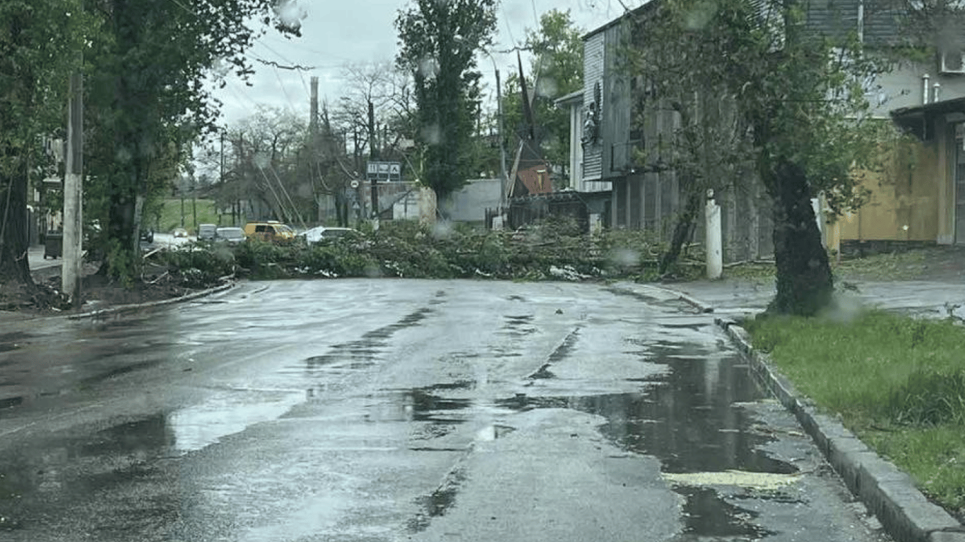 Деревопад та побиті автівки — в Одесі негода уже наробила біди - фото 2