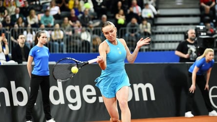 Свитолина ответила на хейт украинских болельщиков - 285x160