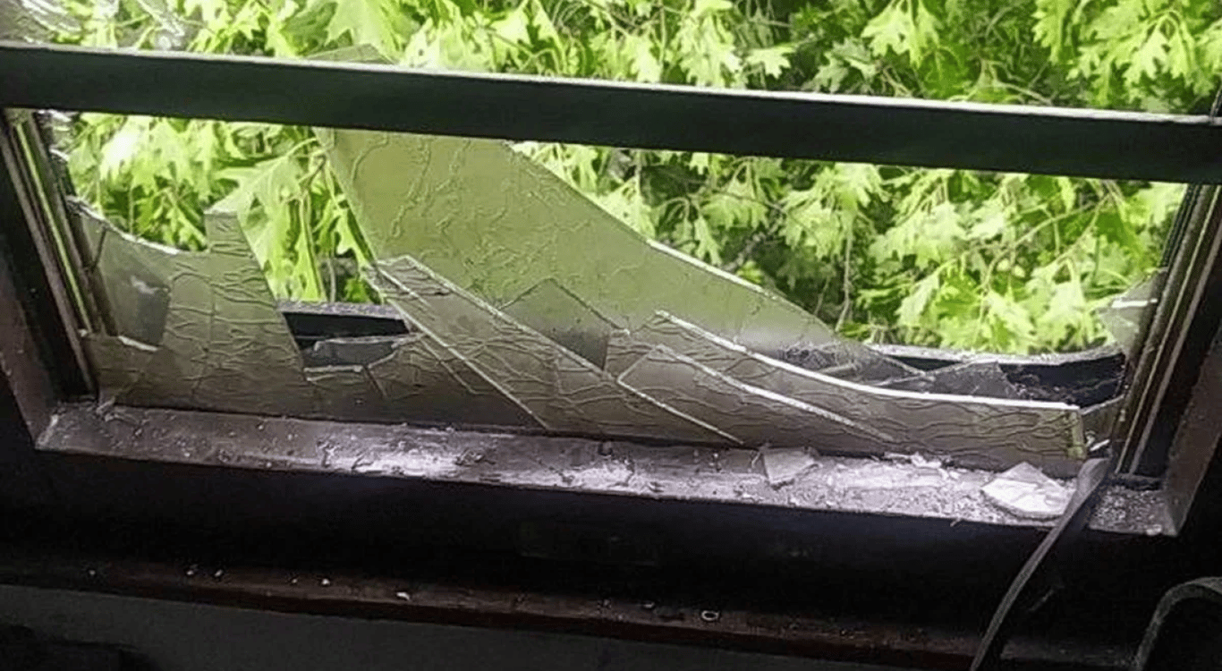 Дерево упало на поезд