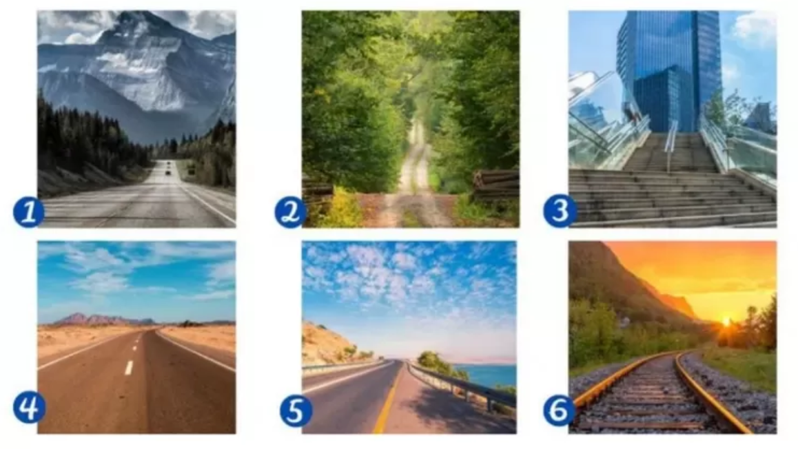 Тест на определение своего пути в жизни