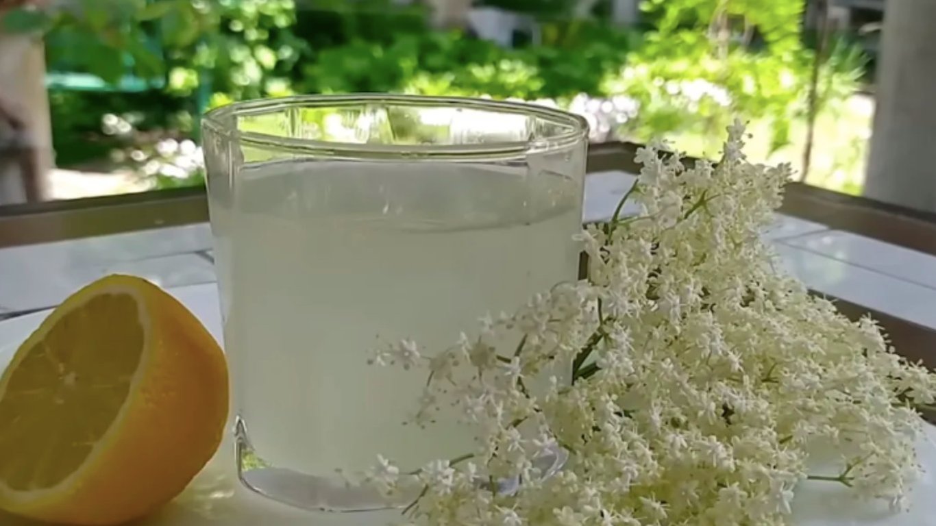 Квас із бузини в домашніх умовах: перевірений рецепт із ферментацією на 5 днів