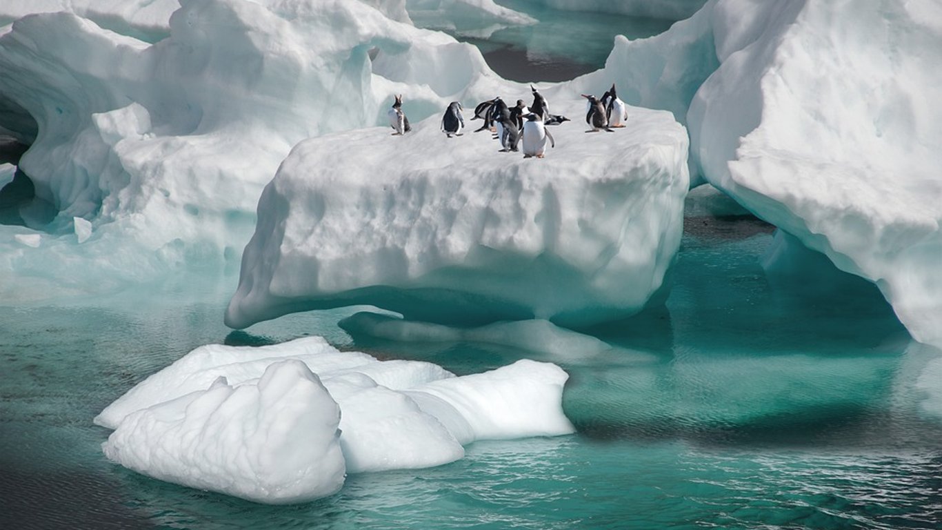 От Антарктиды откололся айсберг