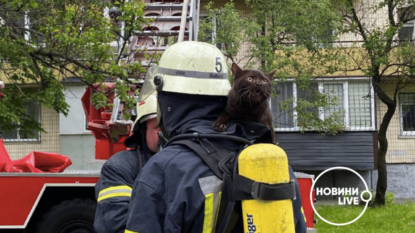 Масштабный пожар в Киеве на Дарнице