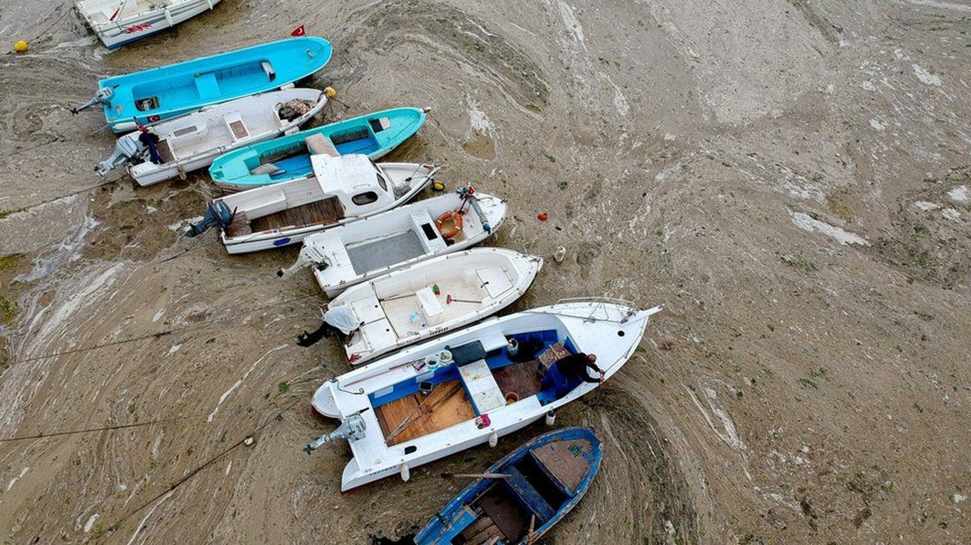 В Турции распространяется серая слизь в Мраморном море: есть ли угроза для экологии