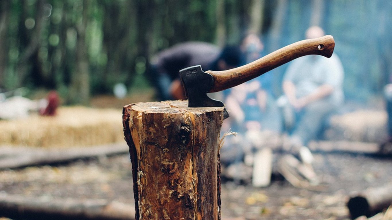 Заработать на древесине: в Кабмине придумали, как пополнить госбюджет