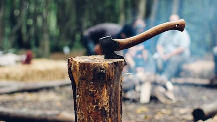 Заработать на древесине: в Кабмине придумали, как пополнить госбюджет - 285x160