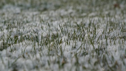 В Одесі випав "літній" сніг - 285x160