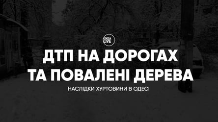ДТП на дорогах та повалені дерева: наслідки хуртовини в Одесі - 285x160