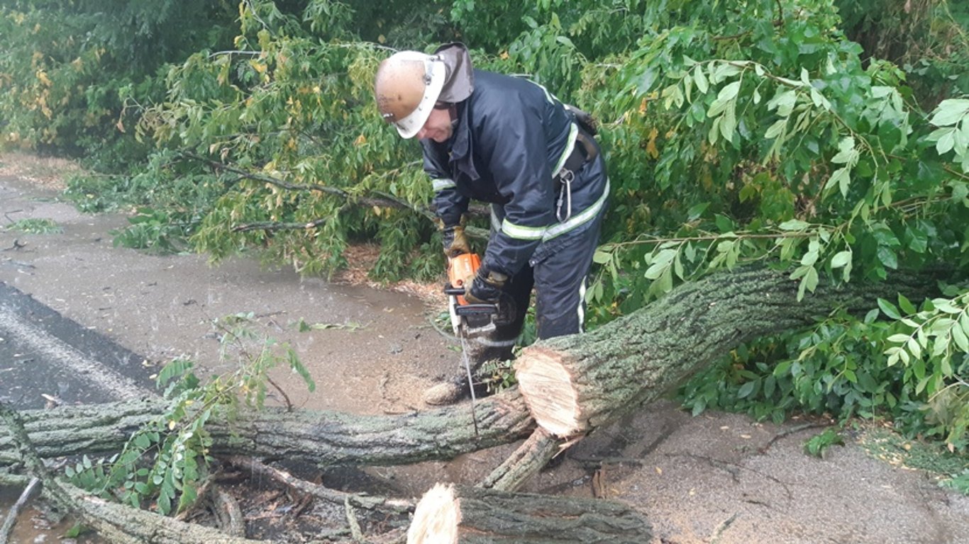 Народилися у сорочці: у Полтаві впало дерево на літню терасу кафе. Відео